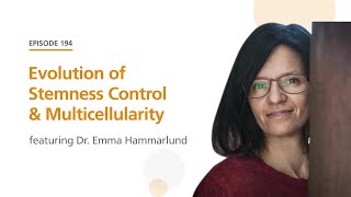 Evolution of Stemness Control amp Multicellularity featuring Dr Emma Hammarlund The Stem Cell Podcast [upl. by Free]