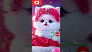 hasbi rabbi jallallah shorts cute islamicmusic love ringtone naatsharif islamicringtone [upl. by Ecinna]