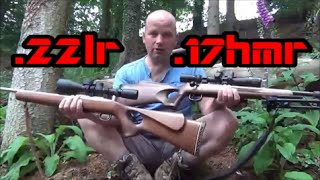 Differences Between 22LR and 17HMR Rifles  Comparing Calibres [upl. by Mcarthur]