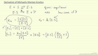 Derivation of MichaelisMenten Kinetics [upl. by Soble]