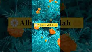 🌼Alhamdulillah 🤲 music live singer cover explore duet quran unfreezemyaccoun motivation [upl. by Norre]