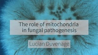 The role of mitochondria in fungal pathogenesis [upl. by Eedyaj803]