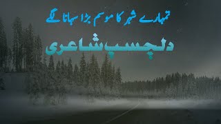 Tumhare Shehar Ka Mausam  beautiful poetry  beautiful ghazal  different poetry [upl. by Zak878]