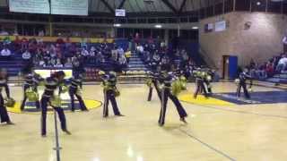 Southeast high school poms [upl. by Eyoj]