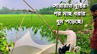 সারারাত বৃষ্টির পর মাছ ধরার ধুম পরেছে। After Full Night Rain Prepare For Catching Fish [upl. by Ynolem]