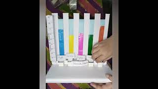 Bar Graph  bar graph working model  data handlingMAMTA SIMPLE STEPS [upl. by Elsey]