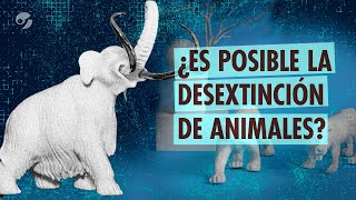 ¿POR QUÉ QUEREMOS REVIVIR ANIMALES EXTINTOS Pueden volver a la vida Los Mamuts Dodo o un perezoso [upl. by Ennaillij]