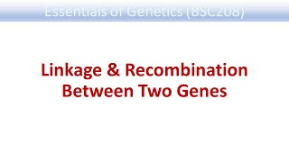 16 Linkage amp Recombination Between Two Genes [upl. by Dippold]