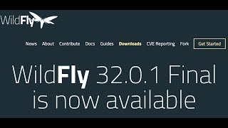 Wildfly Application Server Installation [upl. by Ecylahs704]