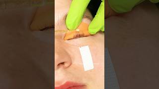 Lash lift tutorial shortsyoutubeshortsyoutubcreator beautifulbeautylashes eyelashestutorial [upl. by Cardew565]