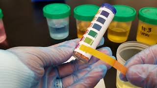 Hydrogen Peroxide Test Strips  Micro Essential Laboratory Hydrion Brand [upl. by Harret]