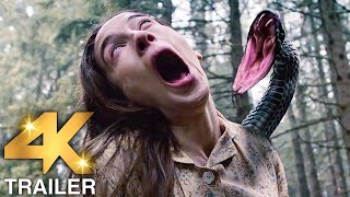 NEW MOVIE TRAILERS 2024 Horror  4K ULTRA HD [upl. by Dnomra]