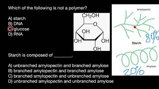 Starch Amylopectin and Amylose [upl. by Anirtik616]