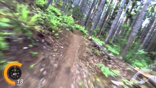 Springboard Trail at Alsea Falls [upl. by Salomie]