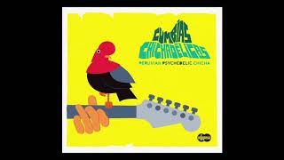 Cumbias Chichadélicas  Peruvian Psychedelic Chicha Infopesa Disco Completo  Full Album [upl. by Andel]