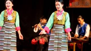 Tibetan Institute of Performing Arts in Auroville 2014 [upl. by Yelha]