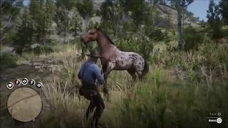 Red Dead Redemption 2 Horseman Challenge 10 Appaloosa [upl. by Anauq]