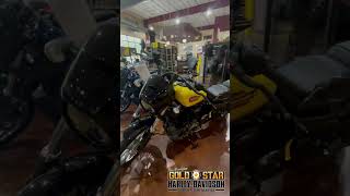 2023 HarleyDavidson Nightster Special Walk Around [upl. by Fleurette399]