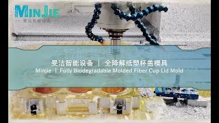 Minjie ｜ Fully Biodegradable Molded Fiber Cup Lid Mold [upl. by Anaiq]