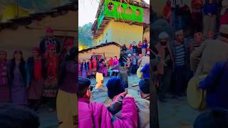 Faguli local trandtional nati pahadi himachali nati 2024 nature shorts [upl. by Lelith656]