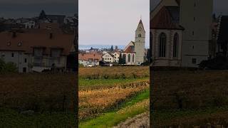 Just an autumn day bodensee youtube travelshorts Deutschland [upl. by Lladnar]