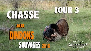 Chasse aux dindons sauvages 2018 jour3 conclusion Saison 1  Épisode 4 [upl. by Buyse]