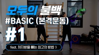 BASIC 1 본격운동 WORKOUT  불가리안백 요람루틴 [upl. by Annayr]