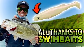 Swimbaits Fix EVERYTHING Bassmasters Chickamauga Megabass Fishing Tips amp Bait Rigging Secrets [upl. by Kirven]