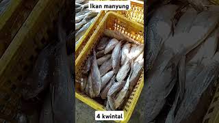 Kedatangan ikan manyung dari Pati 4 kwintal [upl. by Idham107]