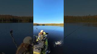 Saturdays stunning views amp stunning fish in the Elliot Lake area 🍁🎣 Kayak fishing for splake [upl. by Latta]