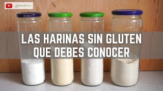 Las mejores HARINAS SIN GLUTEN para sustituir la harina de trigo [upl. by Yob]