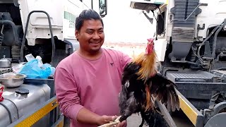 Saudi ko batoma local kukura Khadi Prem Lama YouTube channel🐓🐔🐓🐔👌👌 [upl. by Atinreb]