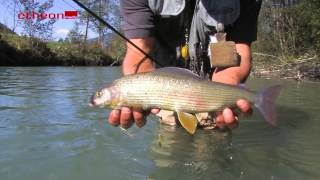 Auf Äschen im kleinen Fluss  Fliegenfischen in Österreich bei etheonTV [upl. by Ulphia]