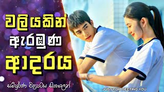 වලියකින් ඇරඹුණ ආදරය  Just for meeting you Movie Explained in Sinhala  Sinhla Review [upl. by Nit612]