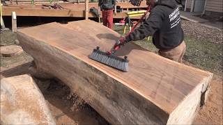 70 foot Chinese Elm for lumber Part 5 slabbing the trunk [upl. by Zollie]