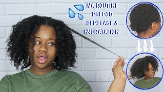 COMMENT HYDRATER SES CHEVEUX CRÉPUS  MA ROUTINE PREPOO ET HYDRATATION 4C4B [upl. by Atnom]