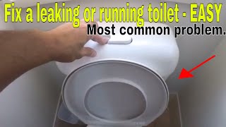 How to fix a leaking running toilet  most common problem [upl. by Svirad664]