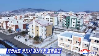 New Free Homes at the Jasan Farm in Pyongsong City of South Pyongan Province DPRK Korean [upl. by Conyers]