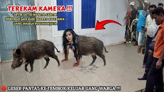 🔴 VIRAL  DETIKDETIK WANITA CANTIK BERUBAH JADI BABI NGEPETSAAT MASUK RUMAH WARGA [upl. by Lindie809]