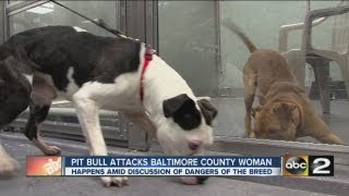 Pit Bulls attack owner [upl. by Brogle120]