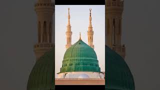 Woh mera nabi hai naat islamicstatus holyprophetﷺ islamicsong viralvideo [upl. by Neile]