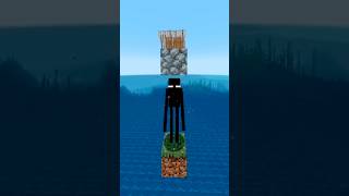 The Enderman💀🔥 minecraft shortsfeed [upl. by Airlee]