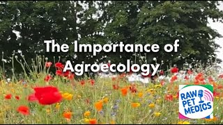 The Importance of Agroecology  Raw Pet Medics [upl. by Islek]