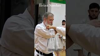 Heian Sandan kata bunkai Dormenko Sensei karate martialarts [upl. by Meill]