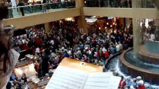 Handels Messiah  Flash Mob  Scottsdale AZ 122210 [upl. by Ramsay]