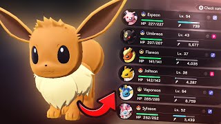 How to Get EEVEE amp Evolve ALL EEVEELUTIONS EARLY in Pokemon Legends Arceus GAMEPLAY [upl. by Wojcik]