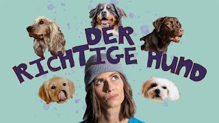 Der richtige Hund für Anfänger  der erste Hund zieht ein  Ersthundehalter  hundplusherz [upl. by Amrita]