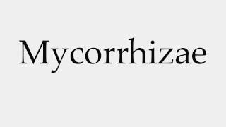 How to Pronounce Mycorrhizae [upl. by Desi562]