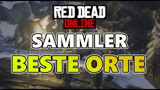 BESTE ORTE FÜR DEN SAMMLER Sammler Guide  Red Dead Online [upl. by Faubion]