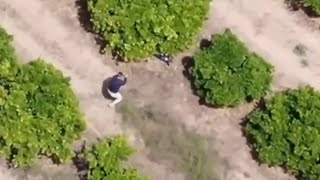 Drone footage captures police chasing narco in Spain [upl. by Delija344]